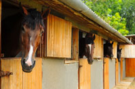 free Derby stable construction quotes